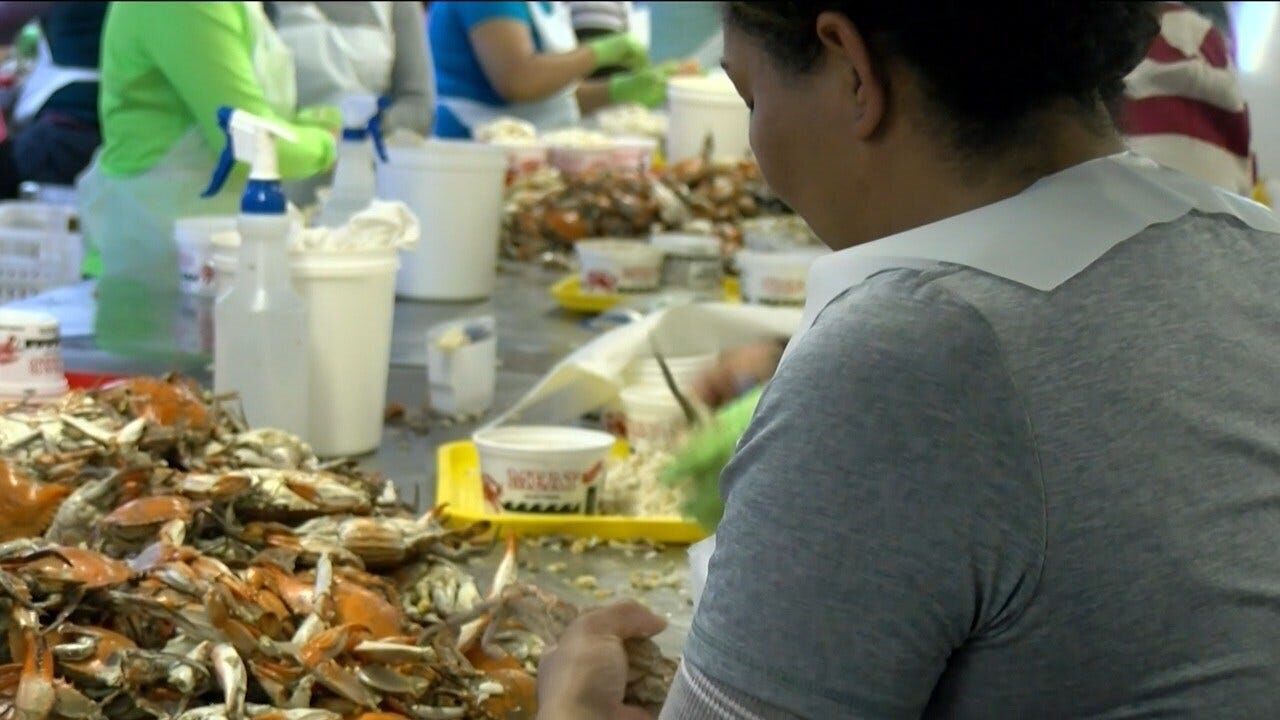 DHS authorizes additional H2B Visas, Seafood Workers and Businesses In Cambridge Feel Relief